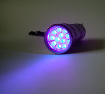 12-led-purple-light-flashlight-id-255-nite-350.jpg