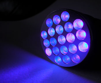 21-led-purple-light-flashlight-id-1259-nite-350.jpg