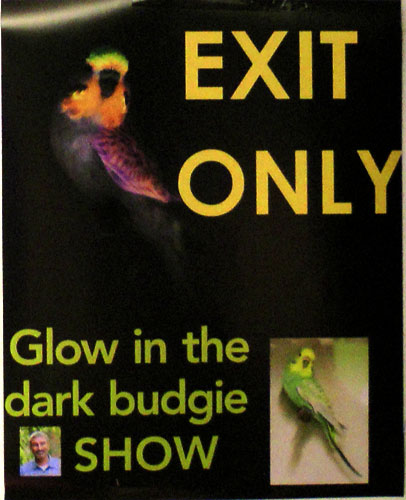 don-burke-glow-budgie-party-poster-500.jpg