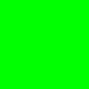 fluoro-green-100x100-day-th.jpg