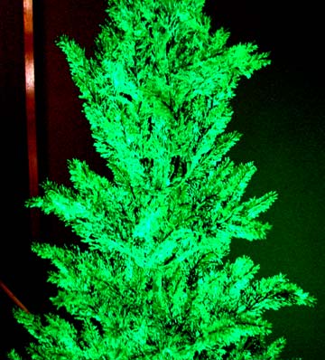 glowing-christmas-tree-097.jpg