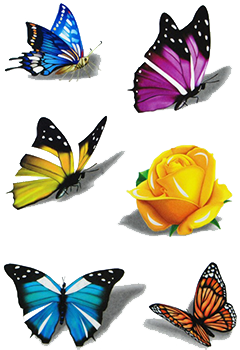 temporary tattoos rose butterfly